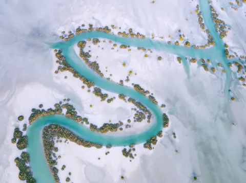 Ammar Alsayed Ahmed A water channel meanders gracefully, flanked by a verdant mangrove trees lining its edges, in Al Dhafra Region, Abu Dhabi