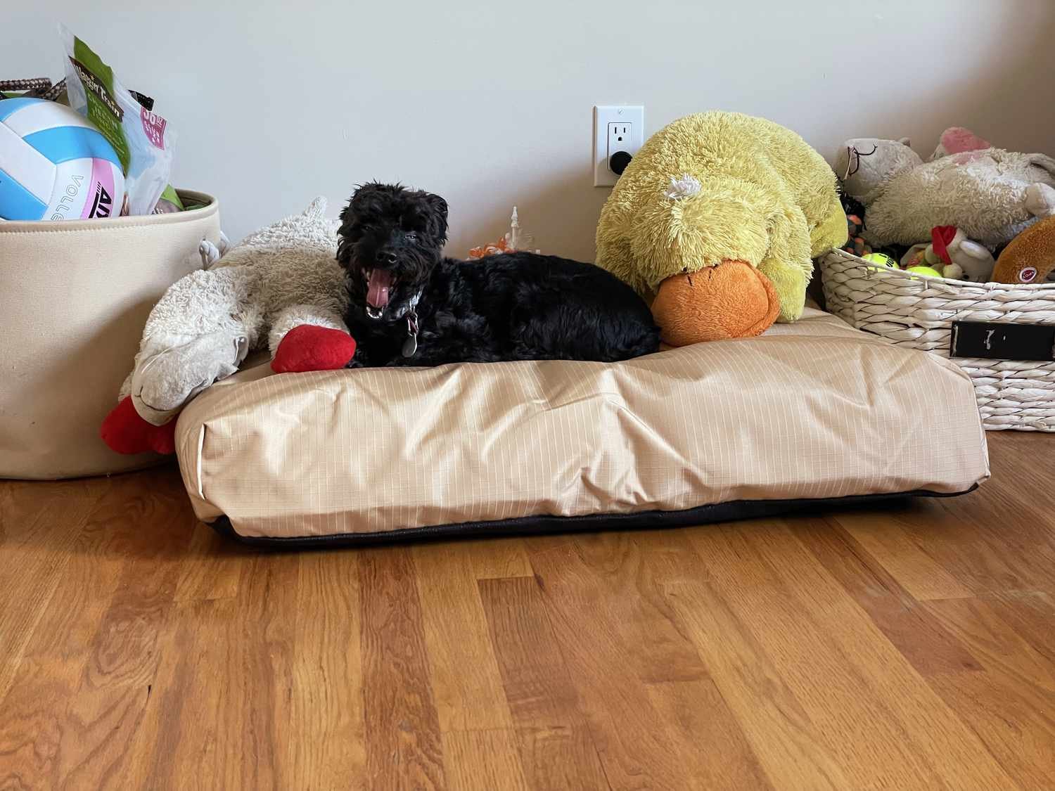 A dog lying on the K9 Ballistics Nesting Dog Bed with their toys.