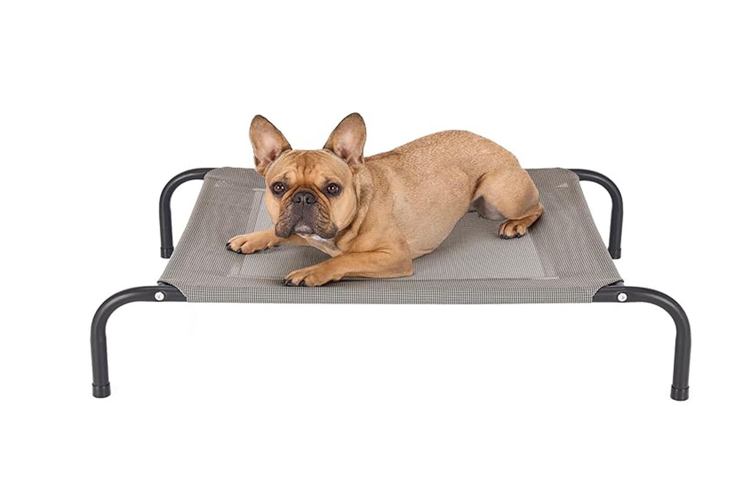 Furhaven Elevated Pet Bed Cot for Dogs & Cats