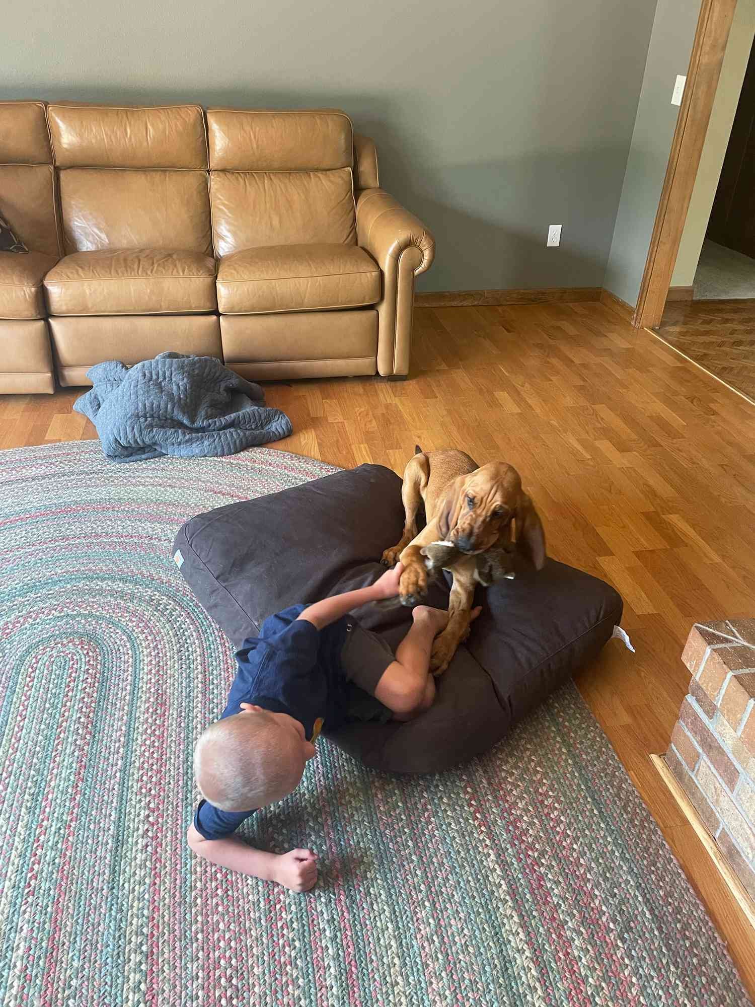 A dog laying on the Carhartt Durable Canvas Dog Bed and playing with it's owner.