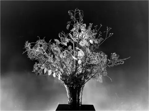 Jeanette Siwak Flowers in a vase photographed in black and white