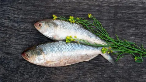 Getty Images Tenualosa ilisha or Ilish fish with mustard plant on black board.